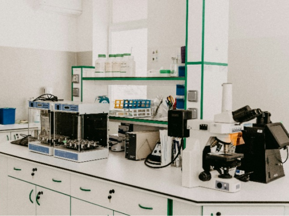 lab
