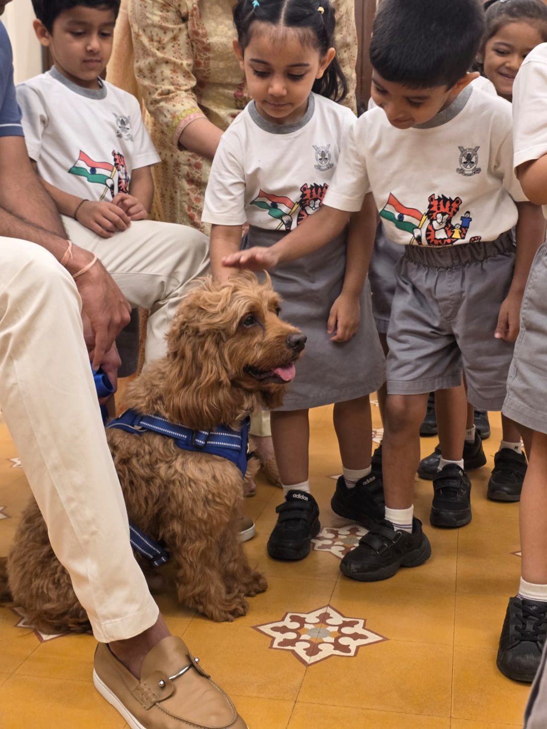 pet day